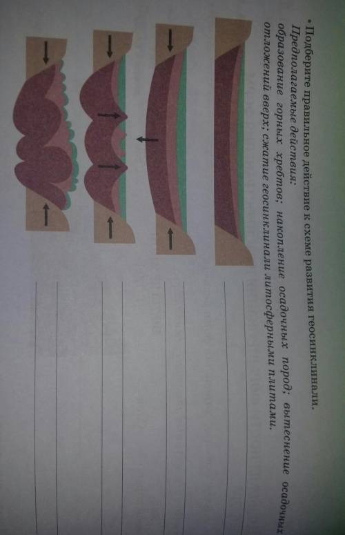 Подберите правильное действие схеме развития геосинклинали. Предпологаемые действия:образование горн