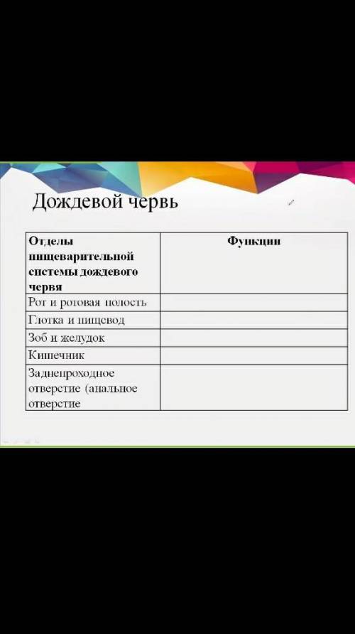 Отделы пищиварительной системы дождевого червя и их функции​