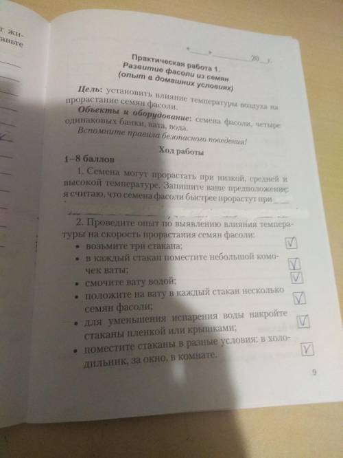 сделать домашку, у нас не одна фасоль не проросла. Что надо писать.