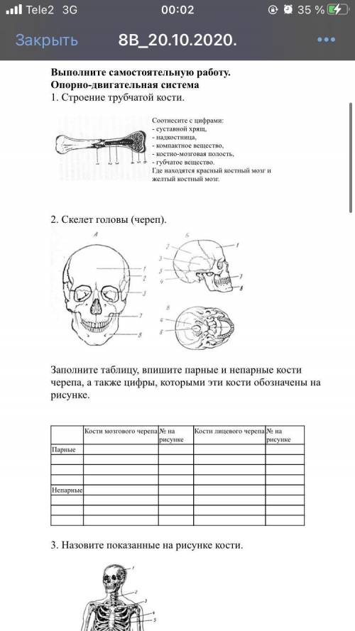 Выполните самостоятельную работу опорно-двигательная система