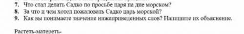 ответить на 7 вопрос про Садко​