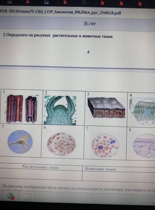 умоляю я подпишусь на тебя если правильно​