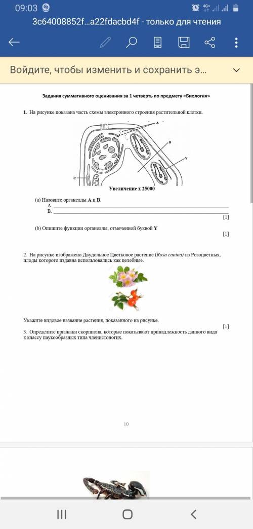 Расчитайте длину структуры У покажите ваш расчета: ответ в um второе зд если что