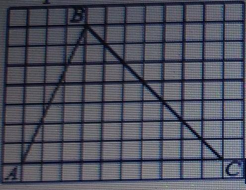 На клетчатой бумаге размером клетки 1х1 изображён треугольник АВС.Найдите длину его средней линии па