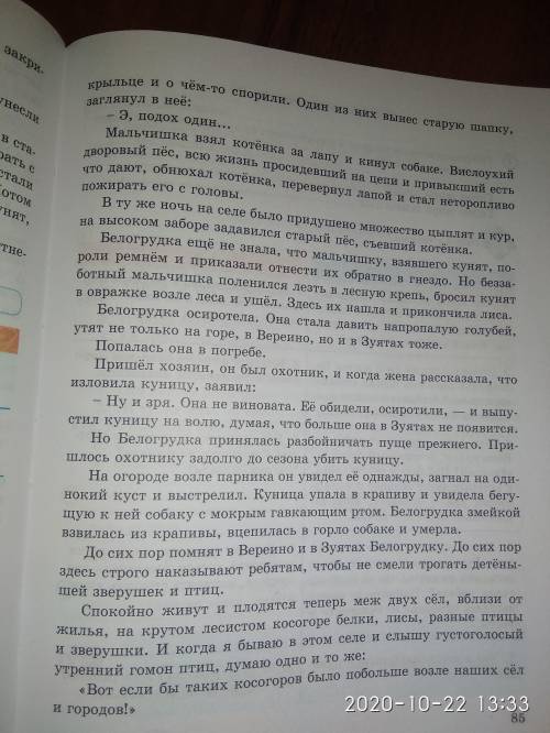 Сформулируйте «тонкие» и «толстые» вопросы к тексту Белгогрудка дәм