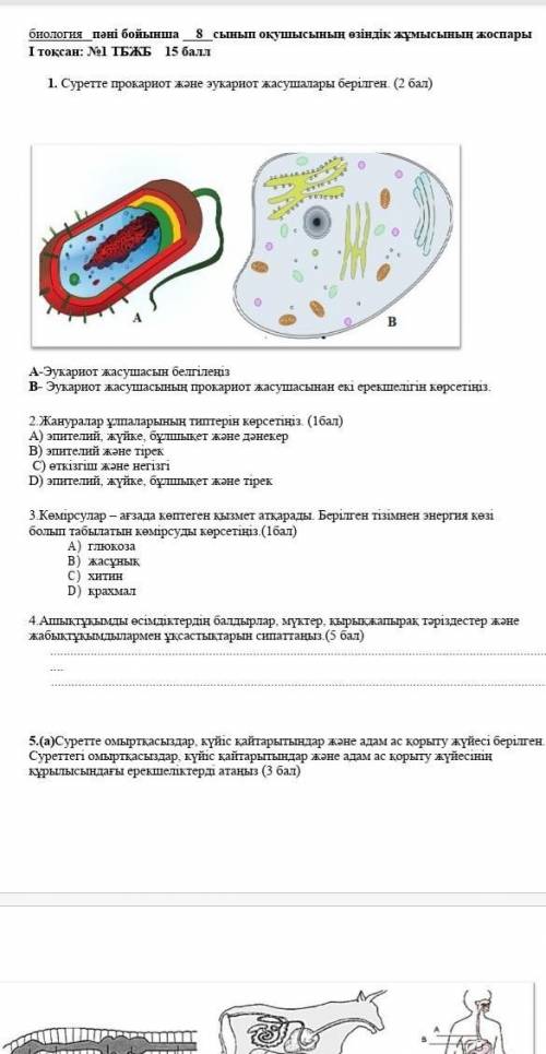 Биология 7 сынып тжб 3 тоқсан