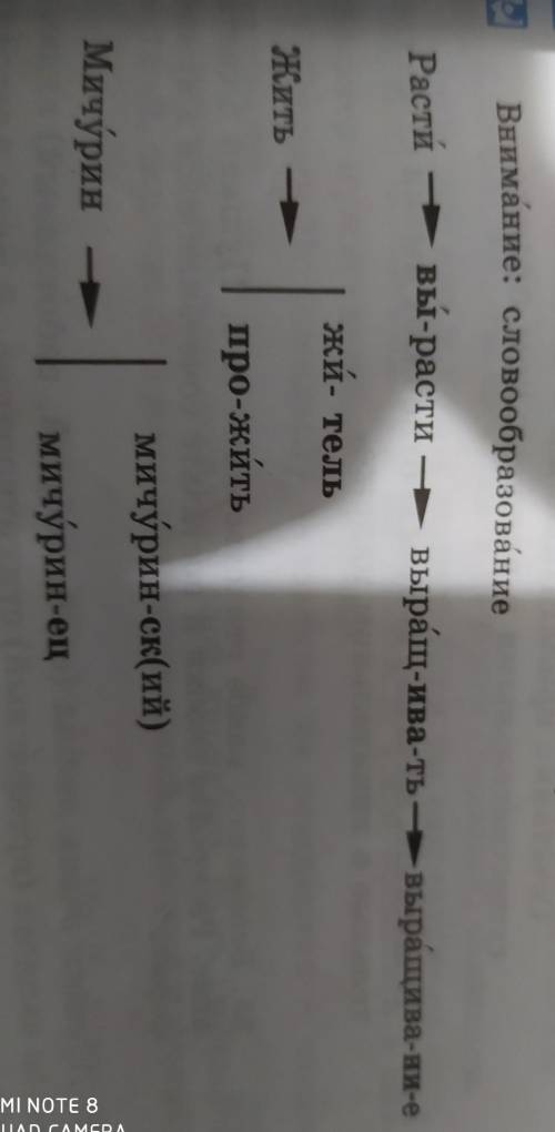 Внимание: словообразование Расти— вы-расти -- выращ-ива-ть -- выращива-ни-ежи- тельпро-житьМичурин-с