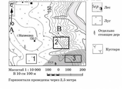 Определите по карте расстояние на местности по прямой от отдельно стоящего дерева до точки В.​