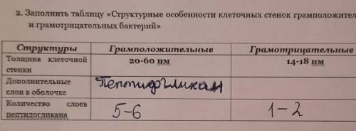 Надо заполнить графу дополнительные слои в оболочке ​