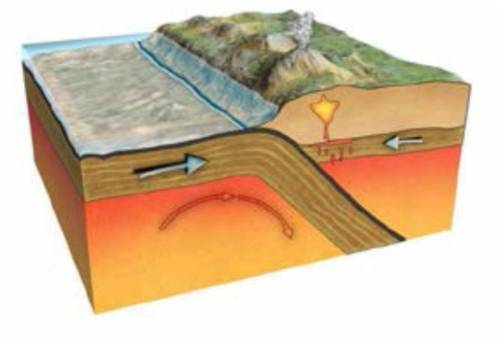 9. Определите вид тектонического движения по рисунку. (подныривание) (1б) а. На границе, каких литос