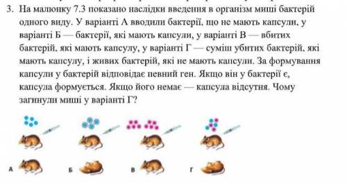 На малюнку 7.3 показано наслідки введення в організм миші бактерій одного виду. У варіанті А вводили