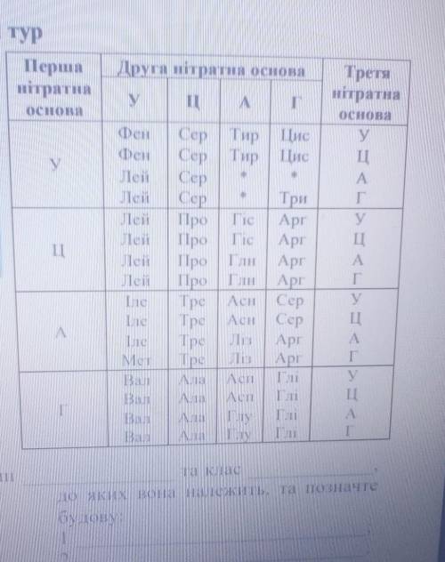 Фрагмент молекули ДНК, на якій транскрибується ділянка центральної петліт-РНК, має таку послідовніст