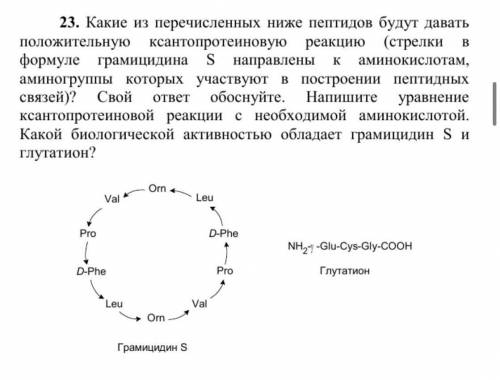 Задание на по органической химии