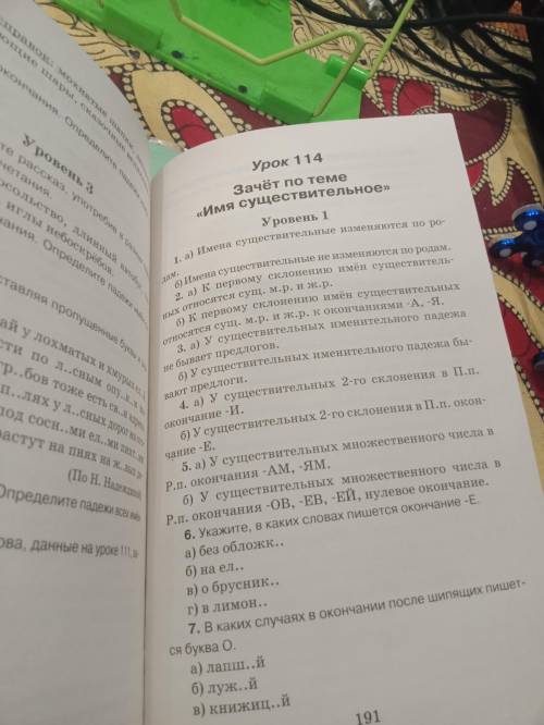 Зачет по теме имя существительное уровень 1