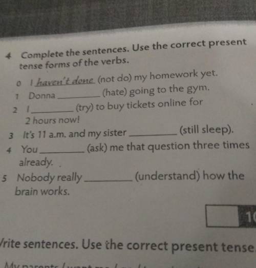 Complete the sentences. use the correct present tense forms of the verbs.​