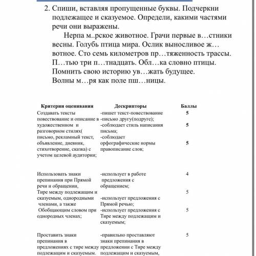 если что отдыхала я в своём городе и передвигалась на легковом автомобил.