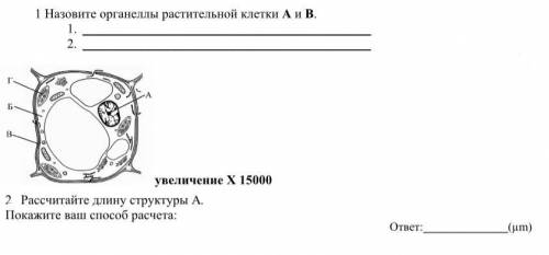 Очень важно Заранее благодарю за ответ