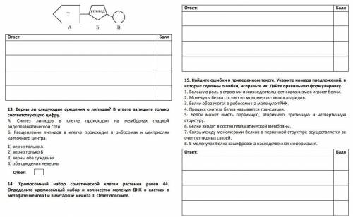 Нужно решить оценю как можно лучше!