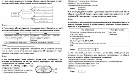 Нужно решить оценю как можно лучше!