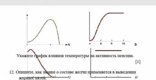 11. (а) На схеме представлена последовательность в работе фермента пепсина. Заполните пробелы. Актив