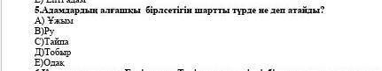 Вдамдардын алғашқы бірлестігін шартты түрде не деп атайды 