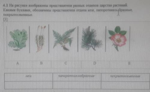 Задания суммативного оценивания за 1 четверть по предмету «Биология» Рассмотрите рисунки прокариотич