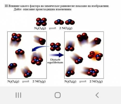 III.Влияние какого фактора на химическое равновесие показано на изображении. Дайте описание происход