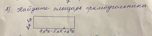 Найдите площадь прямоугольника​