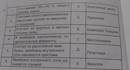 Составьте пары с правильным сочетанием названия органоида и его строения​