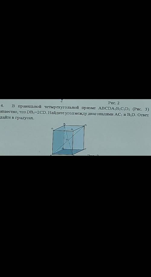 в правильной четырехугольной призме abcda1b1c1d1 известно, что DB1=2CD. Найдите угол между диагоналя