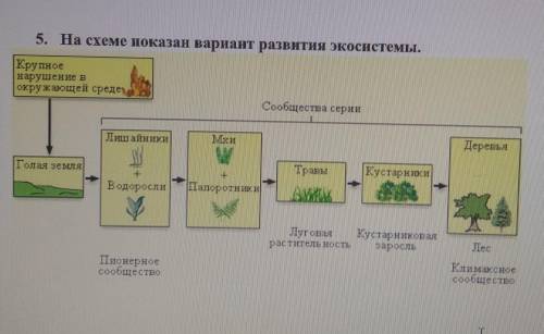 На схеме показан вариант развития экосистемы. Определите тип сукцессии и ее характеристики.A.Первичн