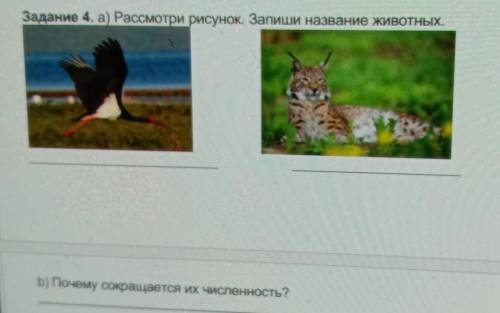 Задание 4. а) Рассмотри рисунок. Запиши название животных. б) почему сокращается их численность ​