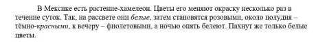 1 Какой загаловок отражает тему текста ? А ) Растение - хамелеон В) Почему они разные ? С) Загадка п