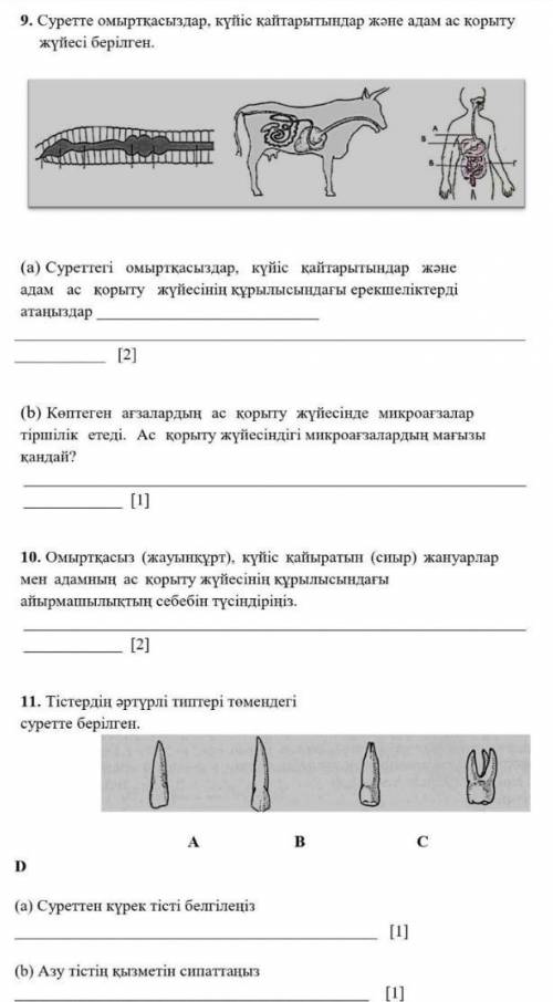 Комектесиниздерш комектескенге 500тенге единица салып беремін​