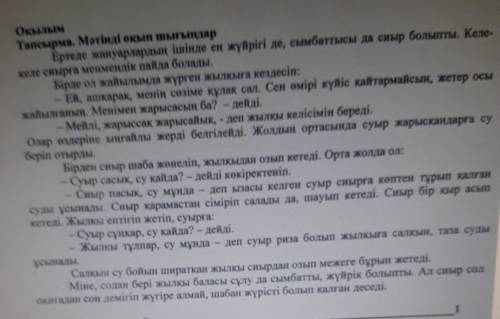 Сын есімдер Түрі Түсі сапасыЖүйрікЖасылСұлуKokneH6CKКаптыЖаман​