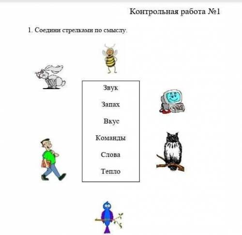 Соотнеси стрелками по смыслу​