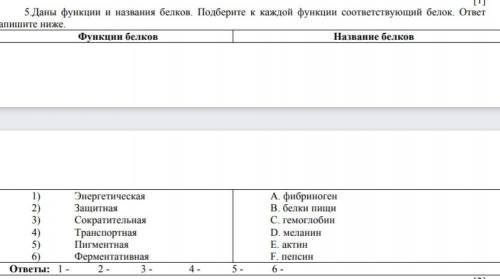 5. Даны функции и названия белков. Подберите к каждой функции соответствующий белок. ответ впишите н