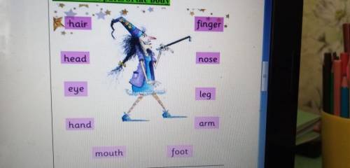 Match the parts of the body