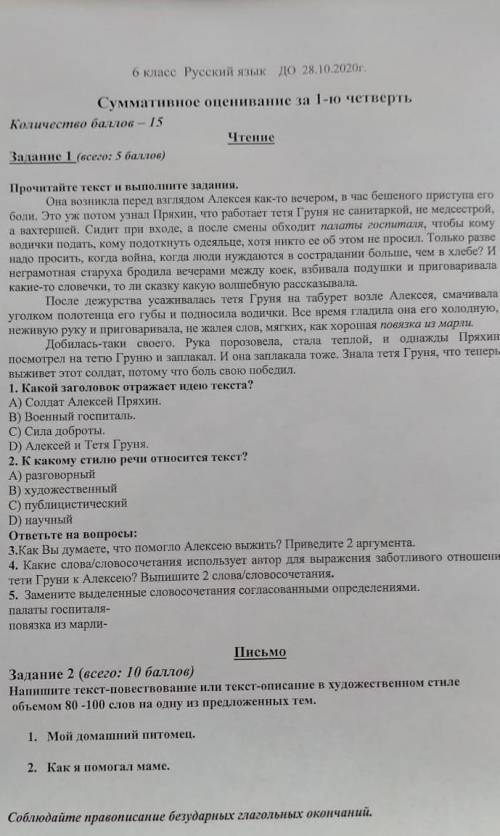 СОЧ по русской литературе ​