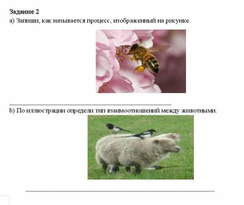 Задание 2 а) Запиши, как называется процесс, изображенный на рисунке.b) По иллюстрации определи ти в