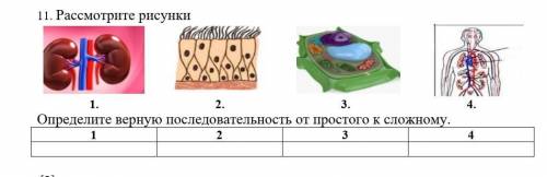 Вот на картинке У меня соч только нормально, а не как некоторые ​