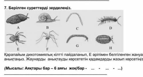 7. Берілген суреттерді зерделеңіз. ​