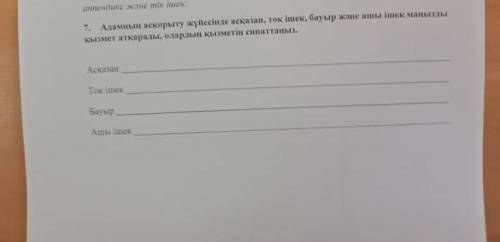 Адамның асқорыту жүйесінде асқазан тоқ ішек бауыр және ашы ішек маңызды қызмет атқарады олардың қызм