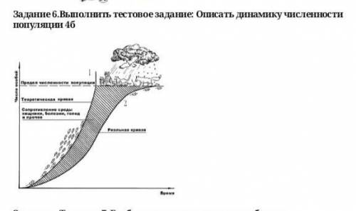 Описать динамику численности популяции 4б только ​