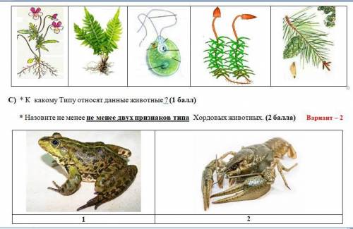 В) Укажите типы растительной ткани. A) покровная, опорная, мышечная и соединительная B) эпителиальн