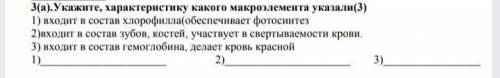 3(а). Укажите, характеристику какого макроэлемента указали (3) 1) входит в состав хлорофилла(обеспеч