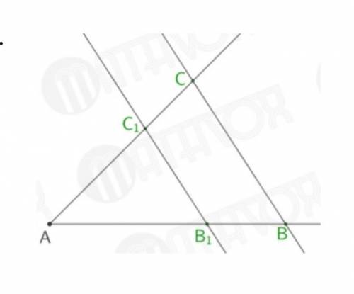 На рисунке параллельные прямые ВС и В1С1 отсекают от сторон угла отрезки. Найдите длины отрезков АС