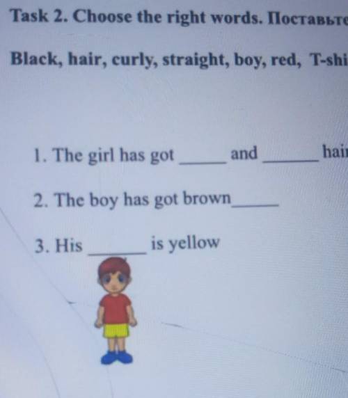 Task 2. Choose the right words. IIocrabble HymHbIe coBa. Black, hair, curly, straight, boy, red, T-s