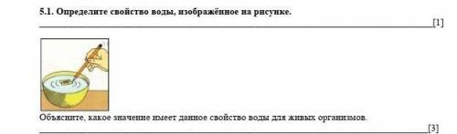 Определите свойство воды, изображённое на рисунке. [1]Объясните, какое значение имеет данное свойств