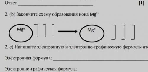 Закончите схему образования иона Mg^2+​